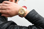 Cargar imagen en el visor de la galería, Reloj Technomarine five-elements TM-122004
